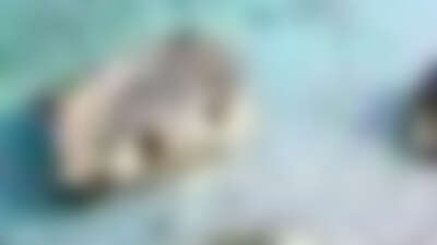 ch_acapulco_landscape_blank-400x225-blur1-q60